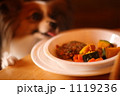ドッグカフェでお食事