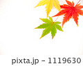 もみじ
