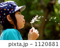 1120881
