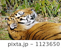 横顔