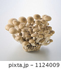 1124009