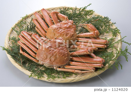 「かに ザル 甲殻類 魚貝類 」の写真素材