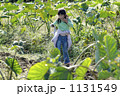 芋畑の中の少女