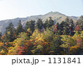 1131841