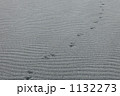 風紋