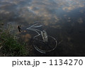 放置自転車