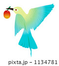 1134781