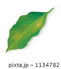 1134782