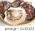 帆立貝