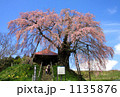 不動桜（郡山市）