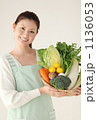新鮮冬野菜