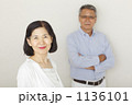 1136101