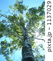 う～ん、いいきもち。パートⅡ