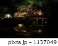 六義園ライトアップ