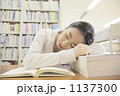 1137300