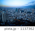 東京タワーから見た風景 東京タワーから見た風景