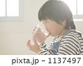 1137497