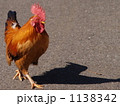 やる気のニワトリ