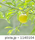1140104