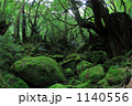 屋久島もののけの森
