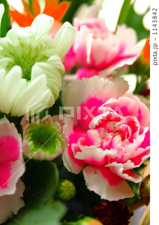 Flower Flower