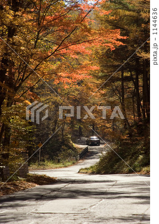 「秋の山道」の写真素材