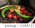 天然の冷蔵庫