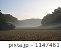 朝霧煙る早朝の散歩