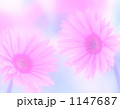 1147687