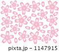 サクラ