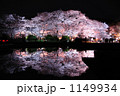 桜の写り込み
