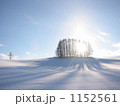 雪原の斜陽