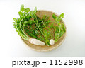 春の七草いただきますか