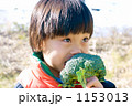 ブロッコリー　がぶっ！