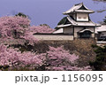 春、兼六園から石川門の桜