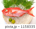 脂ののった金目鯛。