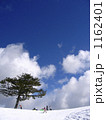 雪！