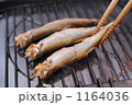 1164036
