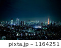 1164251