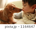 キス。 キス。