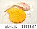 夏の波打ち際イメージにいかが？
