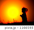 1166593