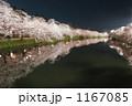 弘前城の夜桜