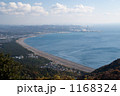 曲線の海岸