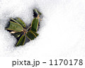 1170178