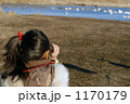 無題 1170179