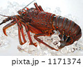 伊勢海老