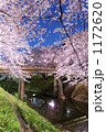 日本の桜　100選