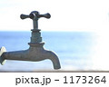 1173264