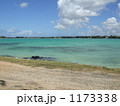 海